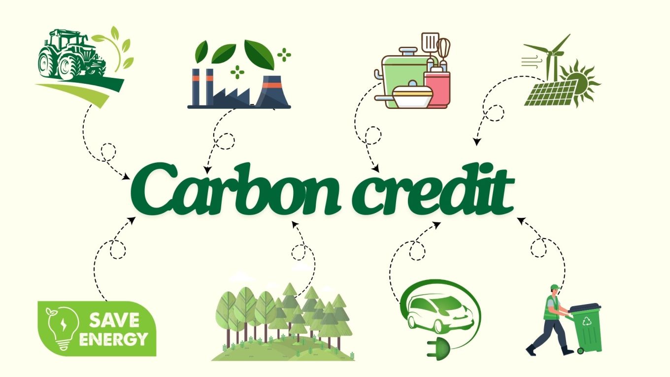 Read more about the article From Forests to Fuel: The 8 Industries Generating the World’s Hottest Carbon Credits